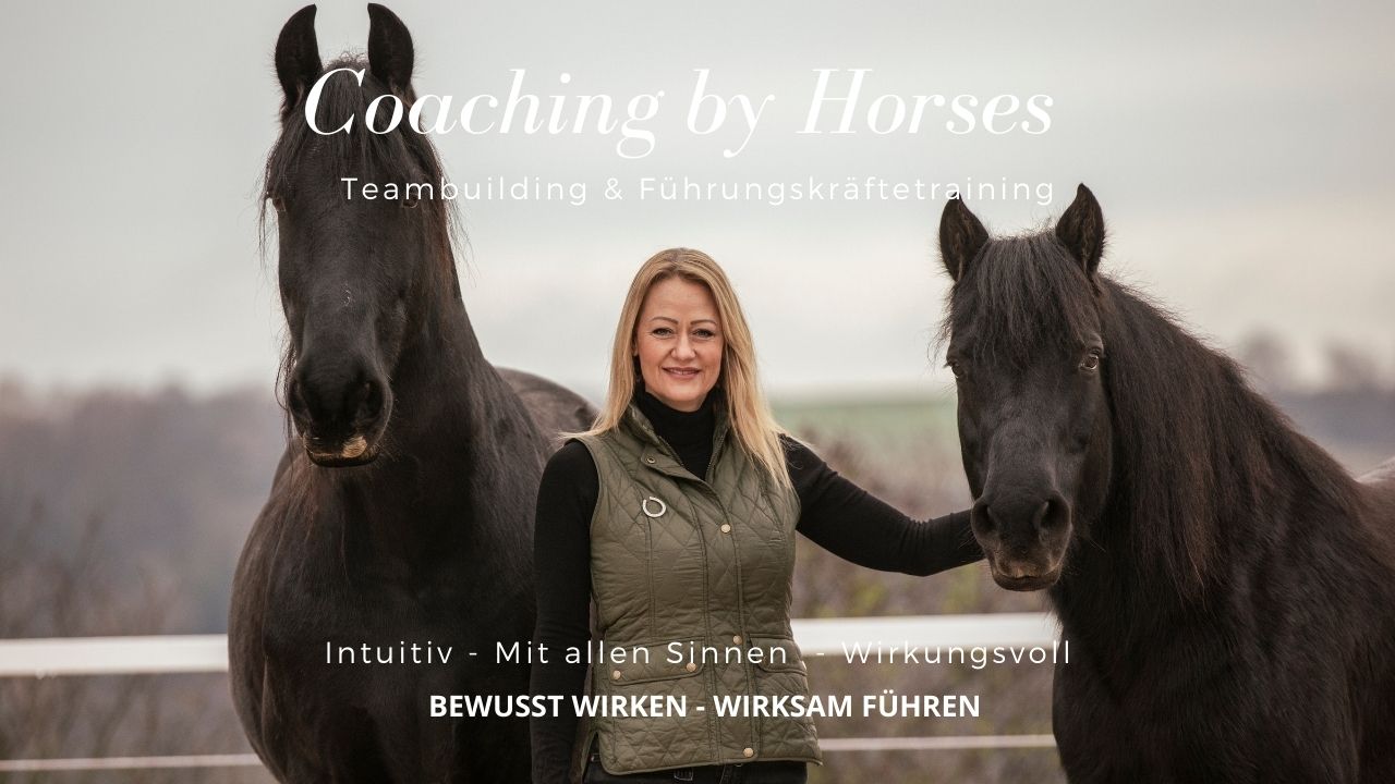 Führungskräftetraining & Teambuilding mit Pferden
