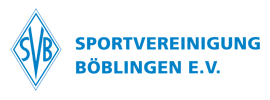 SVB Logo Schriftzug 270