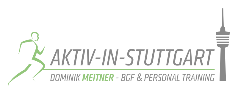 Dominik Meitner Logo