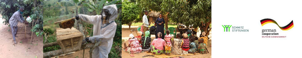 afrika bilder stay
