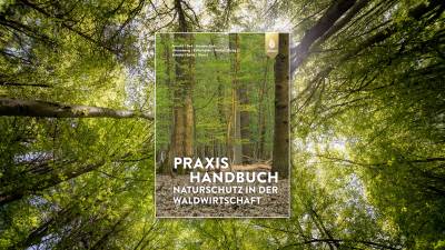 20.3. Naturschutz im Wald – Beispiele aus der Praxis anhand des „Praxishandbuchs Naturschutz in der Waldwirtschaft“